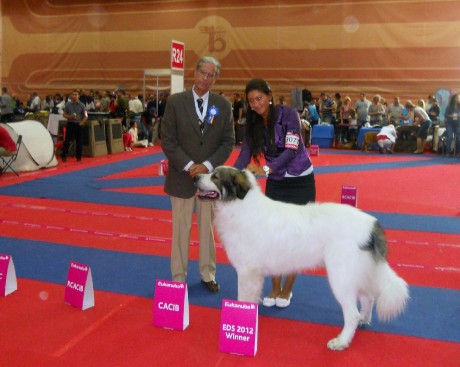 EV Bukurešť 2012 2