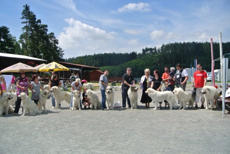 Klubova výstava Hartvikovice 2013 Klub pyrenejských plemen CZ
