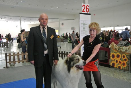CACIB Nitra 2014 Armando BOB