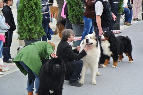 CAC Salgotarjan II GROUP