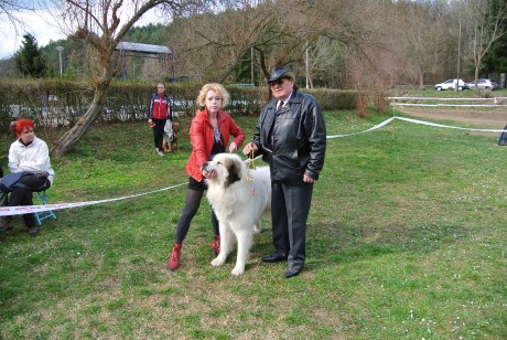 CAC Salgotarjan HU 2014 - BOB