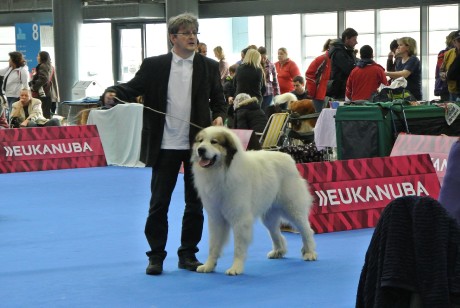 Duo CACIB BRNO4 2014