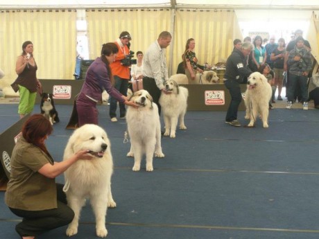 Svetová výstava Salzburg 2012