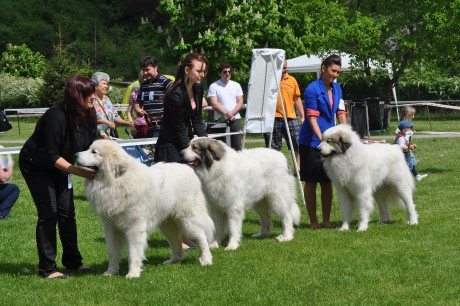 CV Banska Bystrica 2012